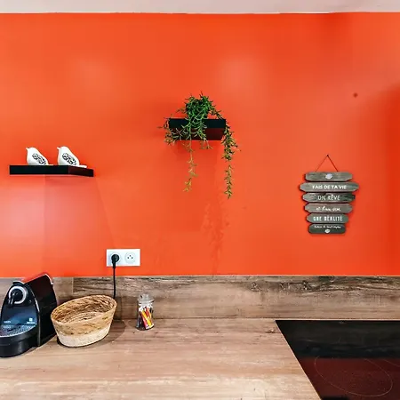 Le Splendide - T2 Neuf - Montluel